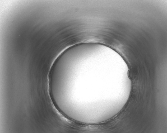 X0000068261476200605051736