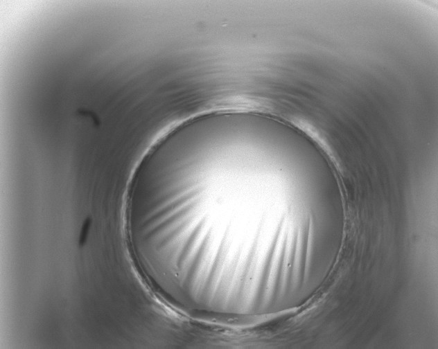 X0000068261477200605051736