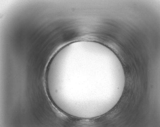 X0000068261478200605051736