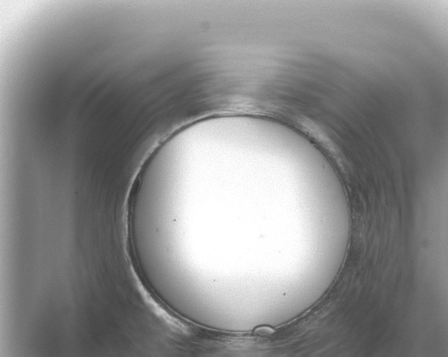 X0000068261479200605051736