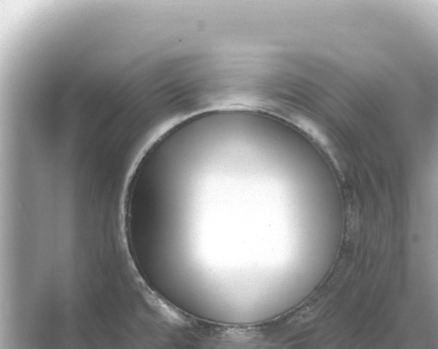 X0000068261480200605051736