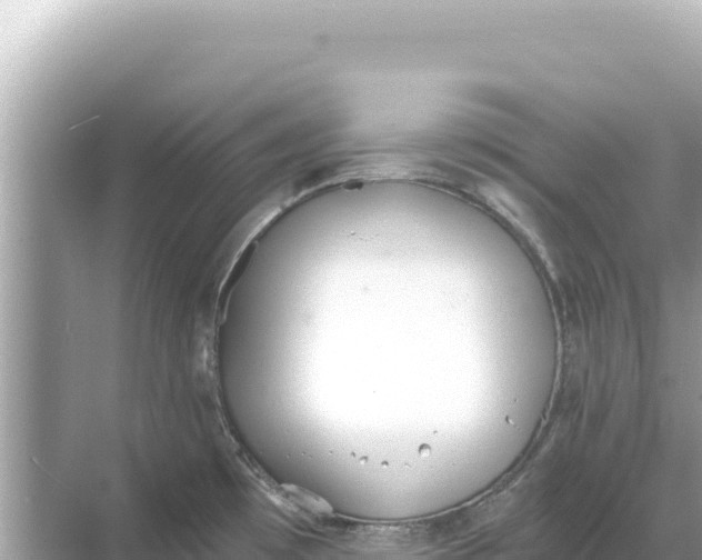 X0000068261481200605051736