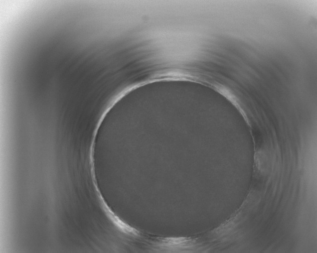 X0000068261482200605051736