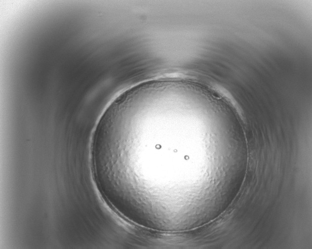 X0000068261483200605051736