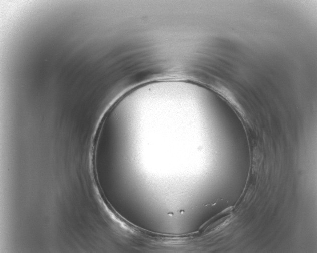 X0000068261484200605051736