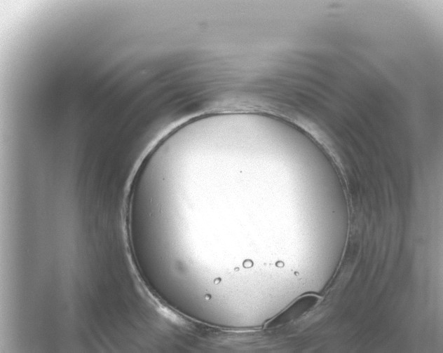 X0000068261486200605051736