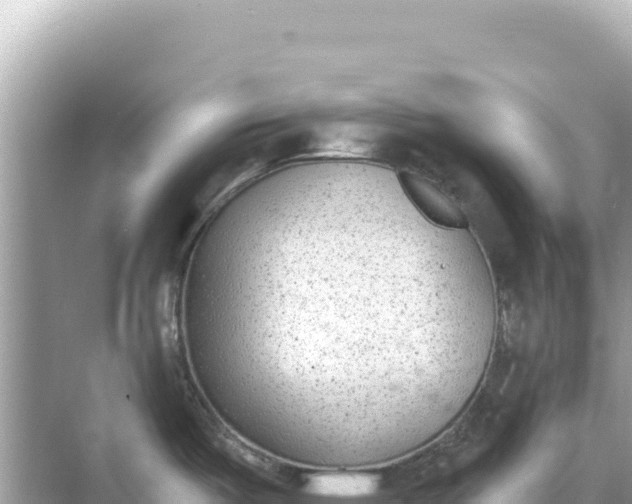 X0000068261487200605051736