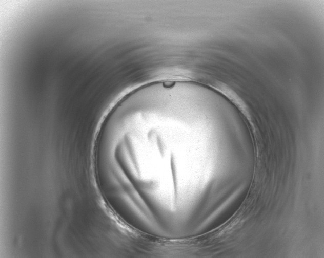 X0000068261488200605051736