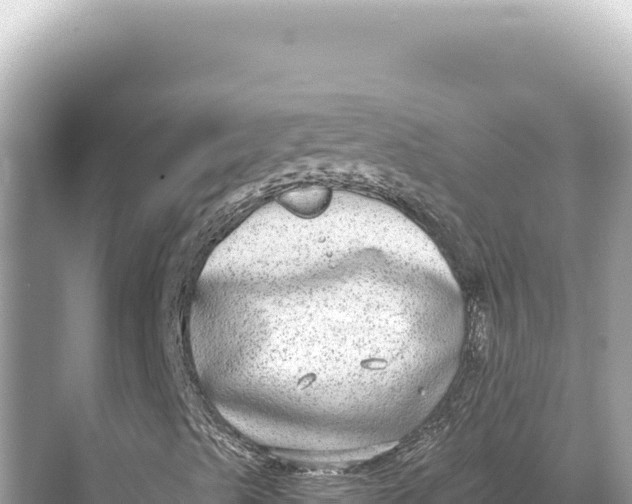 X0000068261489200605051735