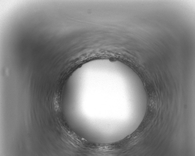 X0000068261490200605051735