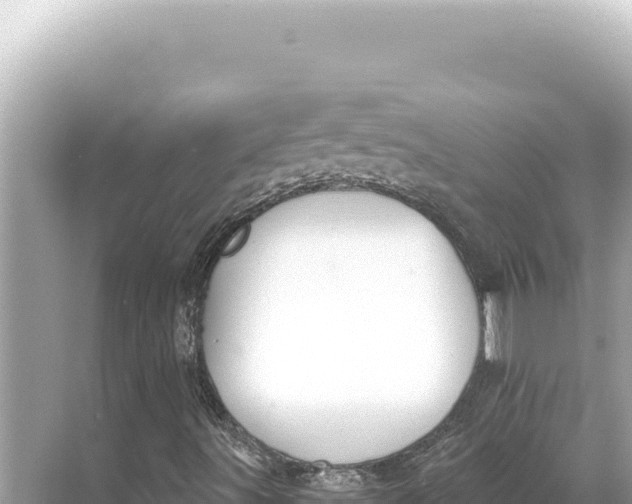 X0000068261491200605051735