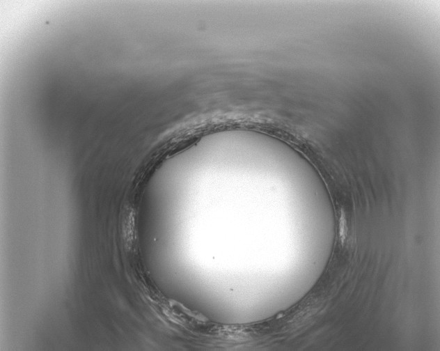 X0000068261492200605051735