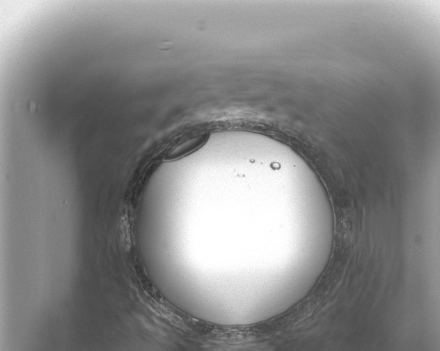 X0000068261493200605051735