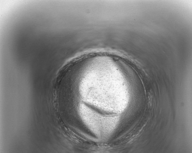 X0000068261494200605051735