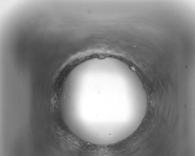 X0000068261495200605051735