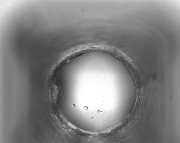 X0000068261496200605051735