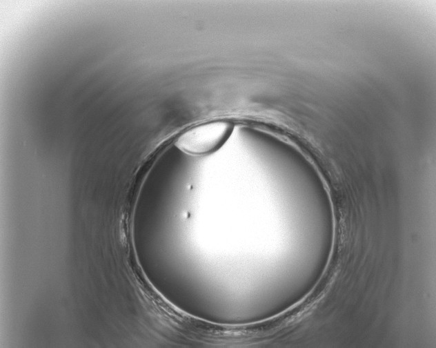 X0000068261497200605051735