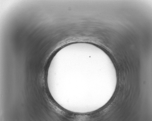 X0000068261498200605051735