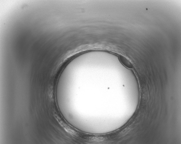 X0000068261499200605051735