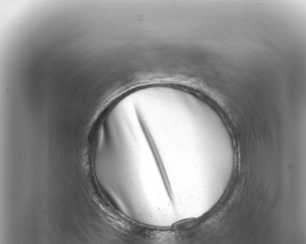 X0000068261501200605051735