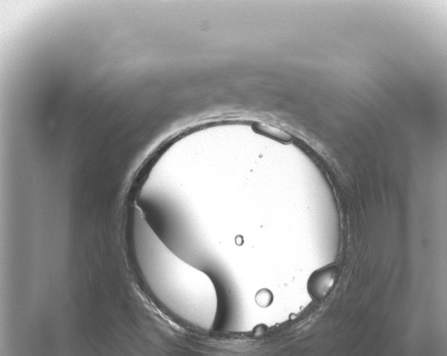 X0000068261502200605051735