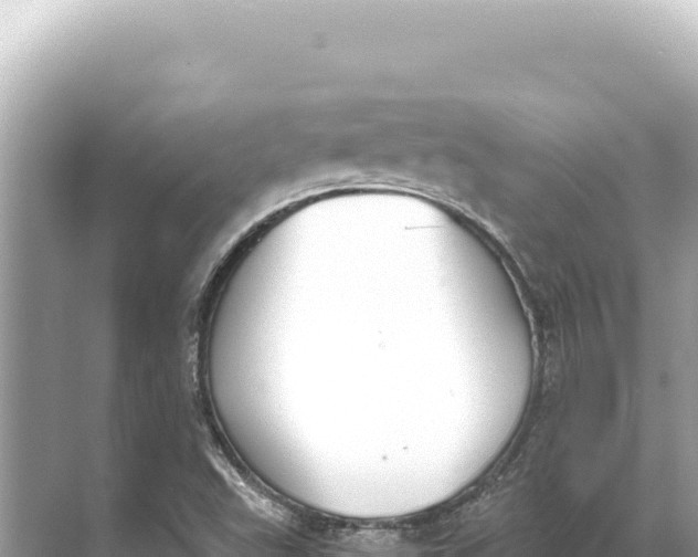 X0000068261503200605051735