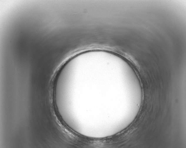 X0000068261504200605051735