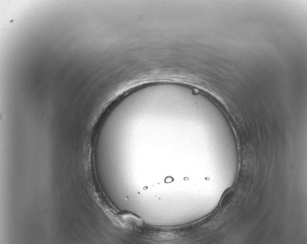 X0000068261507200605051736