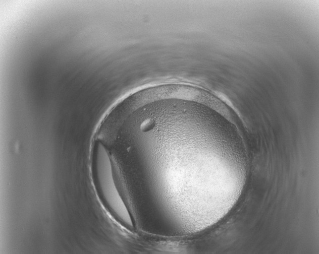 X0000068261508200605051736