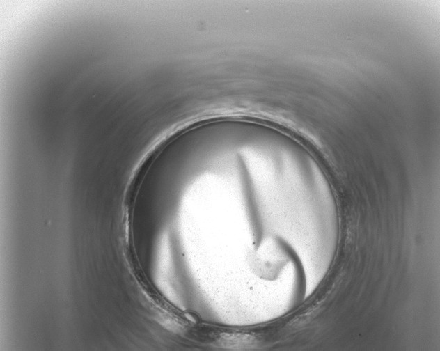 X0000068261509200605051736