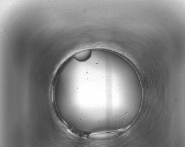 X0000068261510200605051736