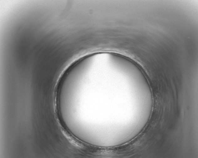 X0000068261511200605051736