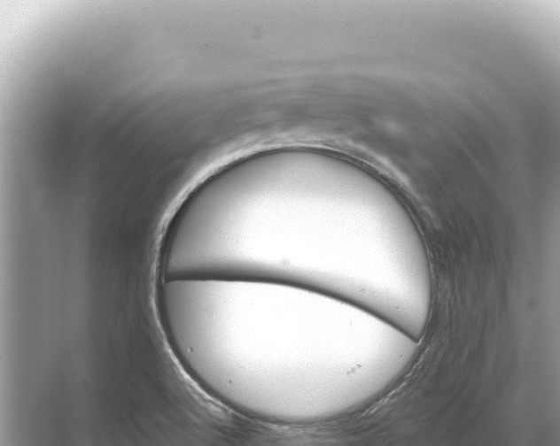 X0000068261512200605051736