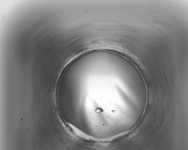 X0000068261513200605051736