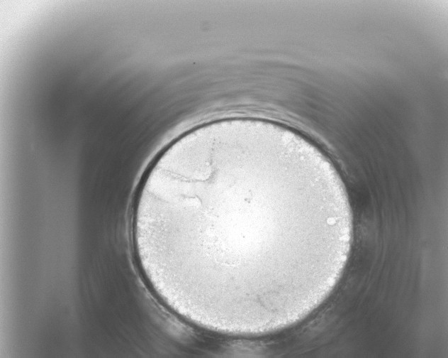 X0000068261514200605051736