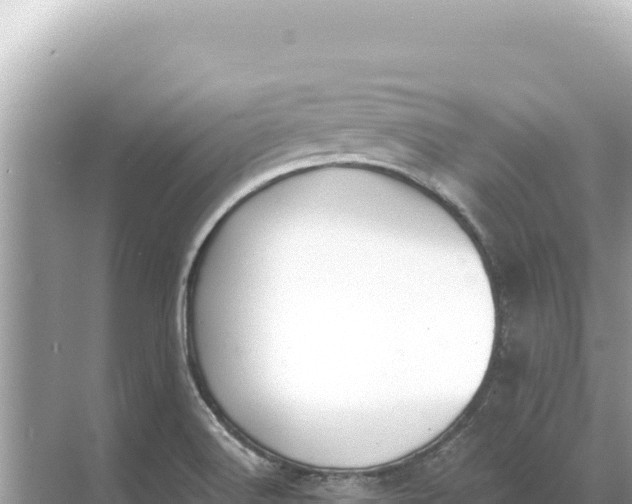 X0000068261516200605051736