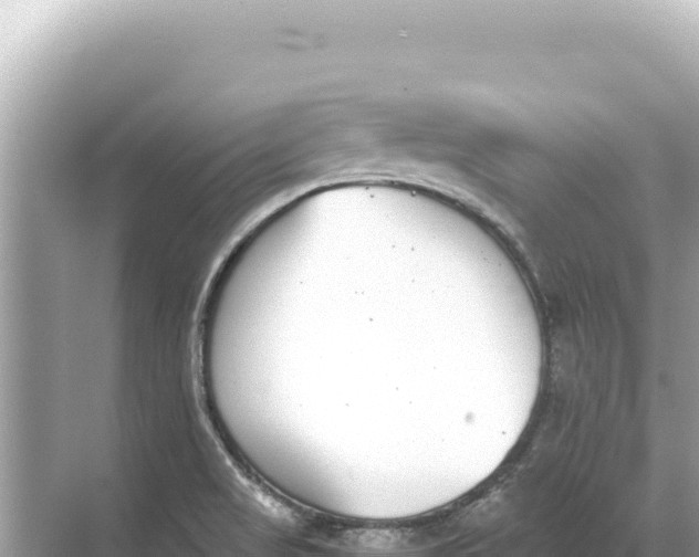 X0000068261517200605051736