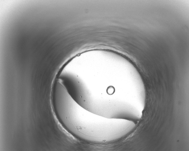 X0000068261518200605051736