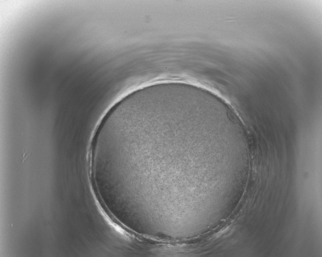 X0000068261519200605051736