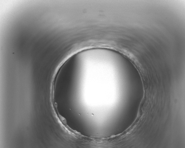 X0000068261520200605051736