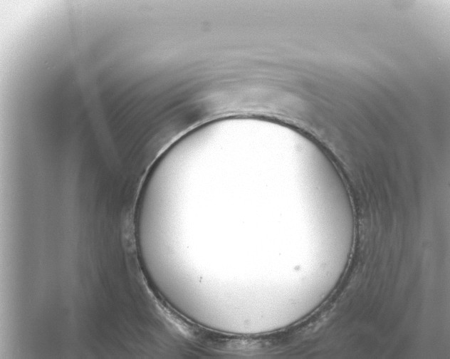 X0000068261521200605051736