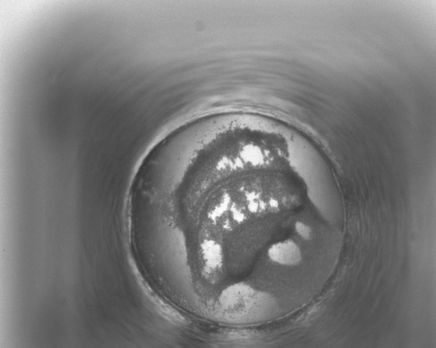 X0000068261522200605051736