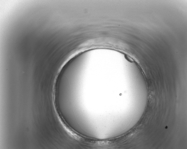 X0000068261523200605051736