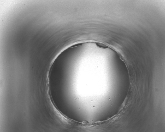 X0000068261524200605051736