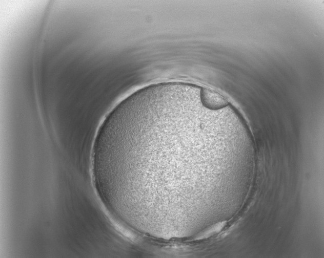 X0000068261525200605051736