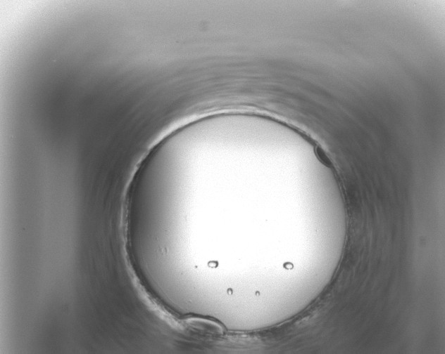 X0000068261526200605051736