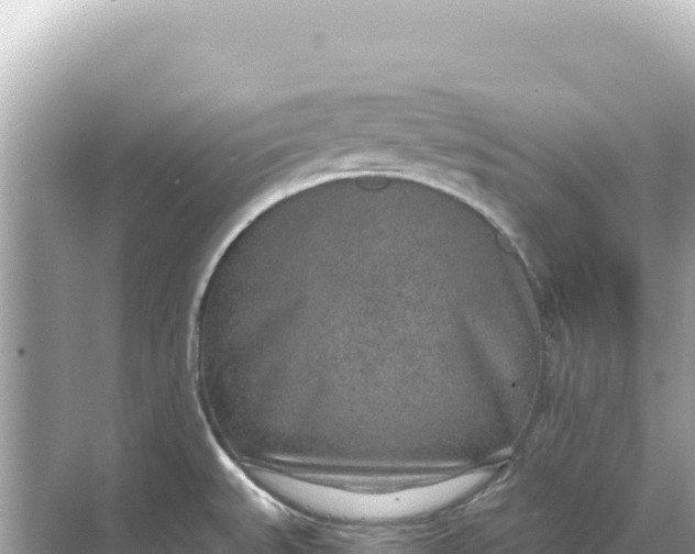 X0000068261527200605051736