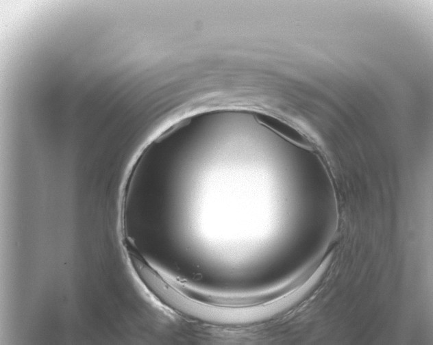 X0000068261528200605051736