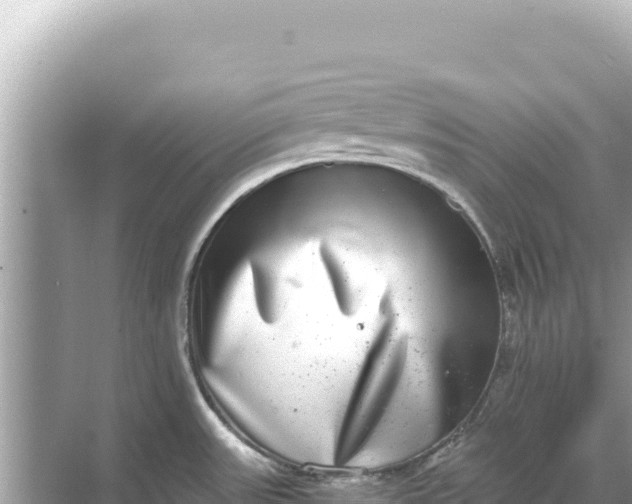 X0000068261531200605051736