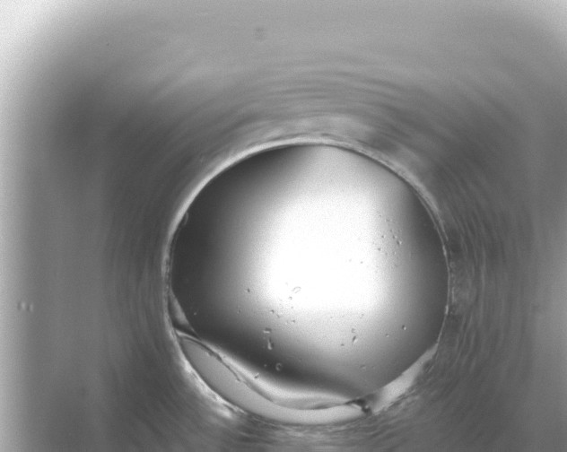 X0000068261532200605051736